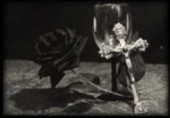 images/avatars/avatar-1986.jpg