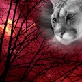 images/avatars/avatar-3242.jpg