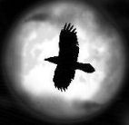 images/avatars/avatar-3506.jpg