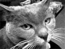 images/avatars/avatar-3741.jpg