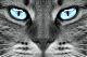 images/avatars/avatar-4094.jpg