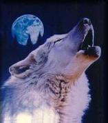 images/avatars/avatar-4699.jpg