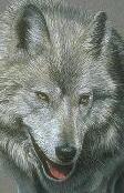 images/avatars/avatar-99.jpg